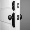 Dome Long Plate Entry Set with Aeg Knob