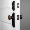 Dome Long Plate Entry Set with Brown Autumn Porcelain Knob