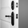 Dome Long Plate Entry Set with Cannon Lever