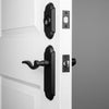Dome Long Plate Entry Set with Palisade Lever