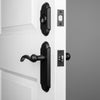 Dome Long Plate Entry Set with Tine Lever