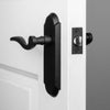 Dome Long Plate with Palisade Lever