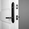 Dome Tall Plate Entry Set with Lance Lever