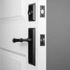 Keep Long Plate Entry Set with Cannon Lever