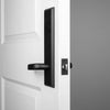 Keep Tall Plate with Crescent Lever