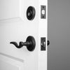 Loch Rosette Entry Set with Palisade Lever
