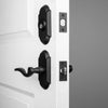 Vault Short Plate Entry Set with Palisade Lever