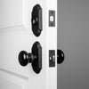 Vault Short Plate Entry Set with Black Shadow Porcelain Knob