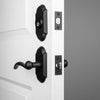 Vault Short Plate Entry Set with Tine Lever